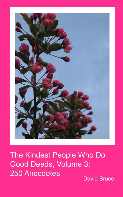 Cover of the book The Kindest People Who Do Good Deeds, Volume 3: 250 Anecdotes by David Bruce, David Bruce