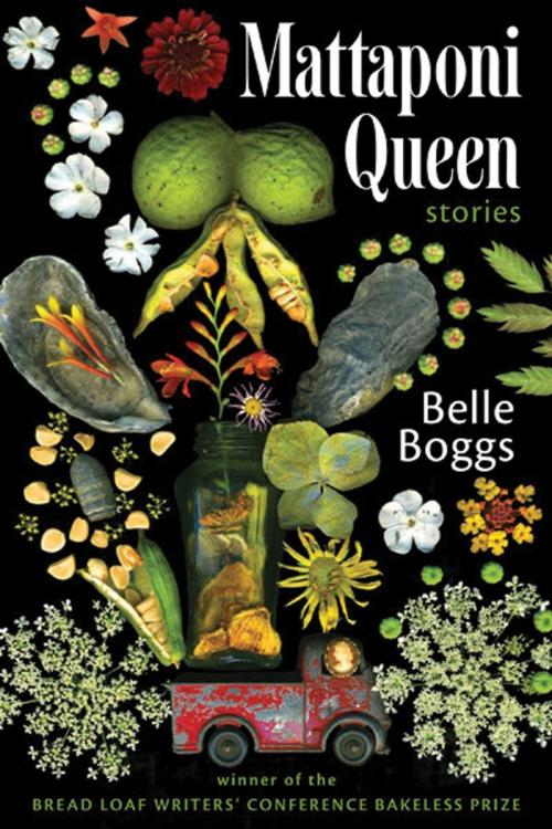 Cover of the book Mattaponi Queen by Belle Boggs, Graywolf Press