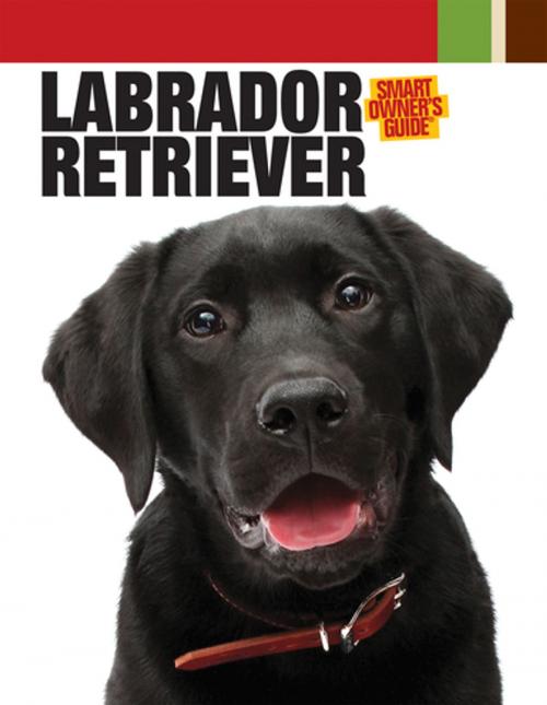 Cover of the book Labrador Retriever by Dog Fancy Magazine, CompanionHouse Books