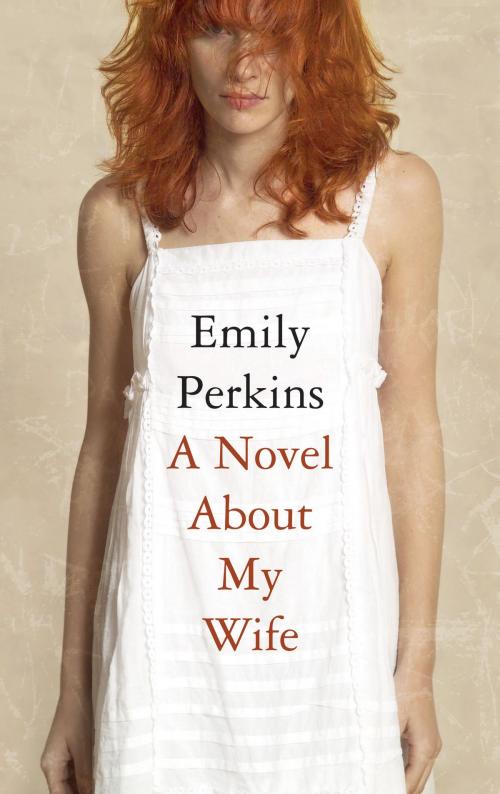 Cover of the book Novel About My Wife by Emily Perkins, Bloomsbury Publishing