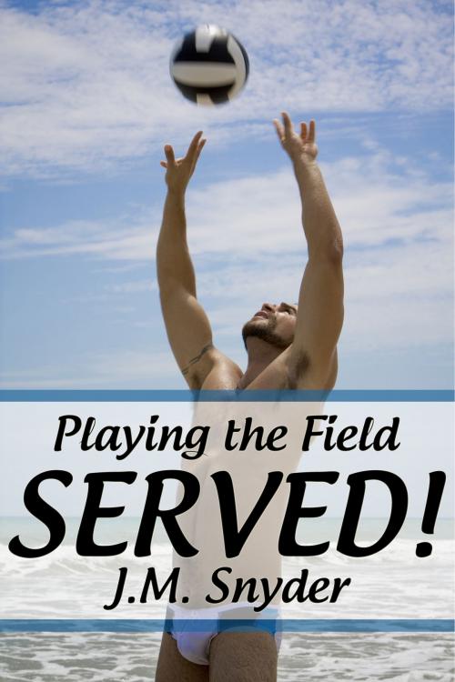 Cover of the book Playing the Field: Served! by J.M. Snyder, JMS Books LLC
