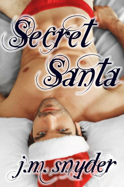 Cover of the book Secret Santa by J.M. Snyder, JMS Books LLC