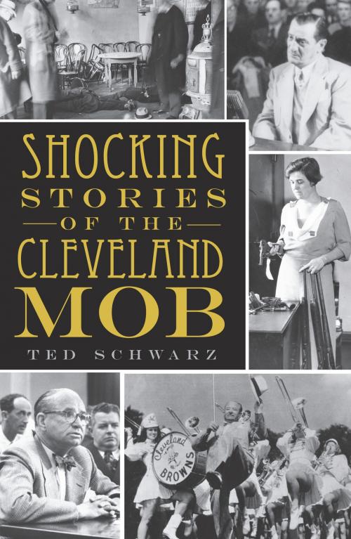 Cover of the book Shocking Stories of the Cleveland Mob by Ted Schwarz, Arcadia Publishing Inc.