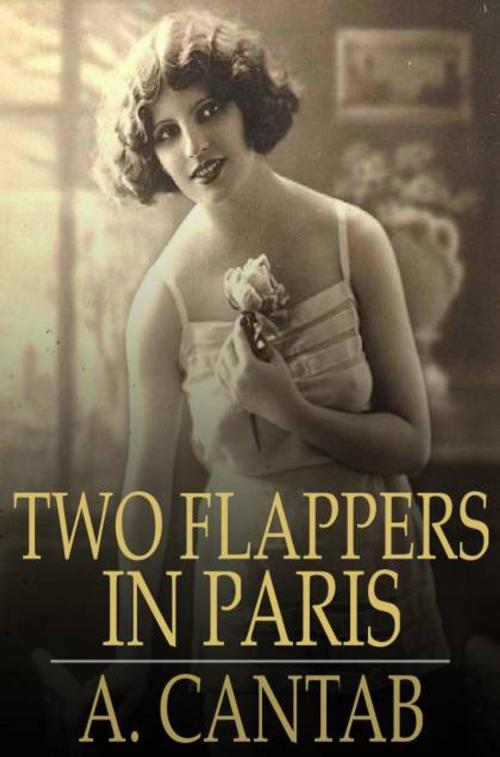 Cover of the book Two Flappers in Paris by A. Cantab, The Floating Press