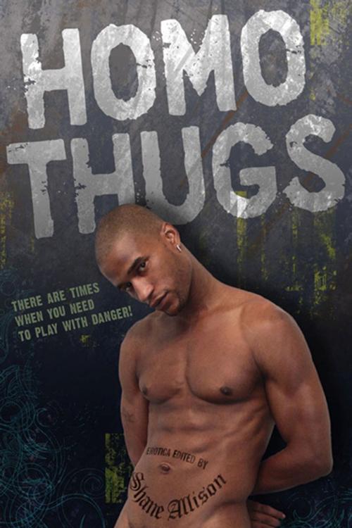 Cover of the book Homo Thugs by , STARbooks Press