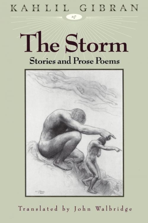 Cover of the book The Storm by Kahlil Gibran, White Cloud Press