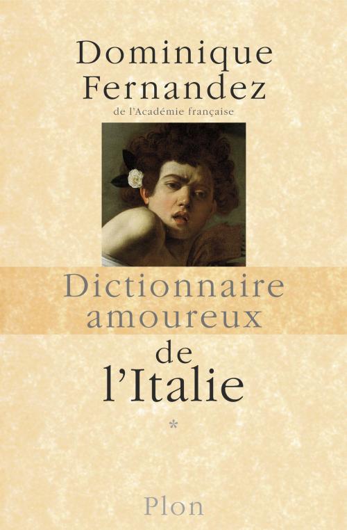 Cover of the book Dictionnaire amoureux de l'Italie by Dominique FERNANDEZ, edi8