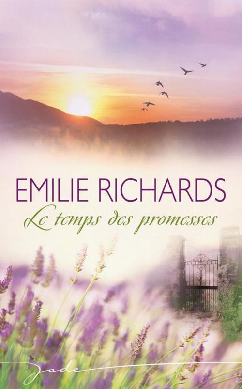 Cover of the book Le temps des promesses by Emilie Richards, Harlequin