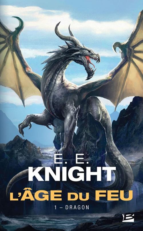 Cover of the book Dragon by E.E. Knight, Bragelonne
