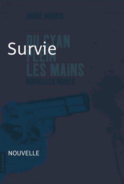 Cover of the book Survie by André Marois, La courte échelle