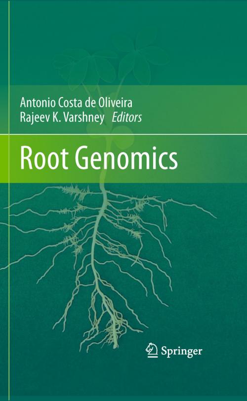 Cover of the book Root Genomics by , Springer Berlin Heidelberg