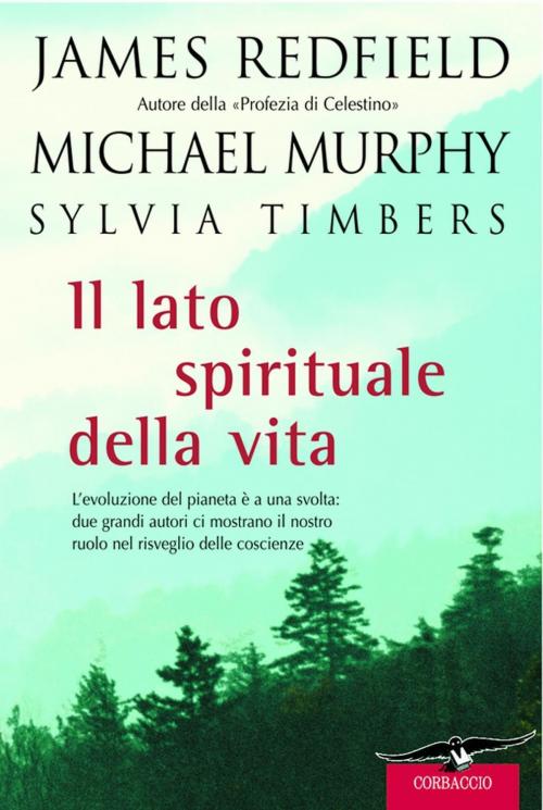 Cover of the book Il lato spirituale della vita by James Redfield, Sylvia Timbers, Michael Murphy, Corbaccio