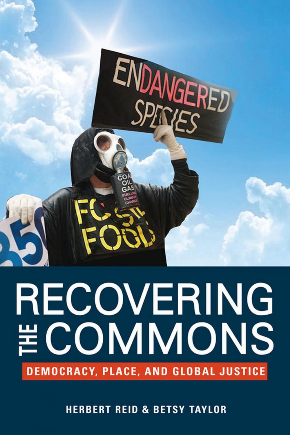 Big bigCover of Recovering the Commons