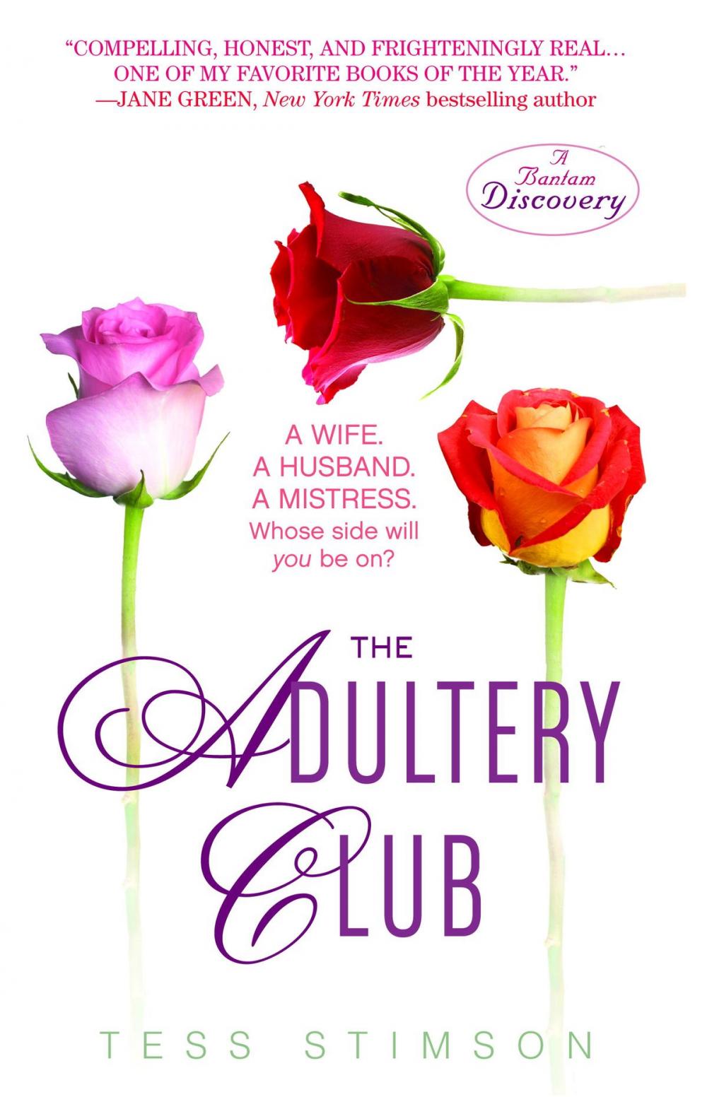 Big bigCover of The Adultery Club