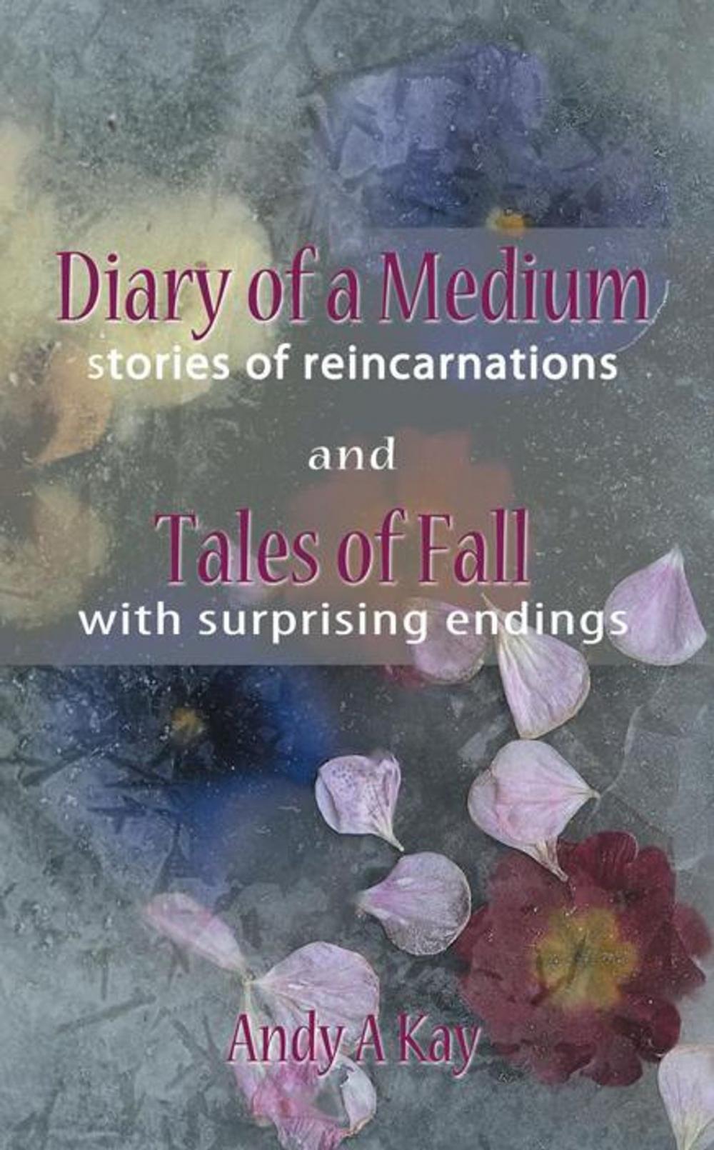 Big bigCover of Diary of a Medium- Stories of Reincarnations