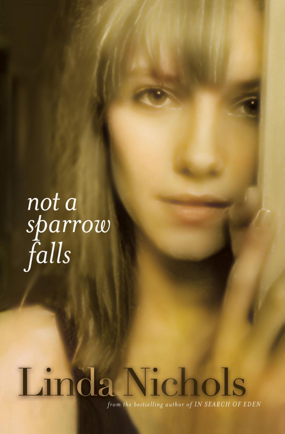 Big bigCover of Not a Sparrow Falls (The Second Chances Collection Book #1)
