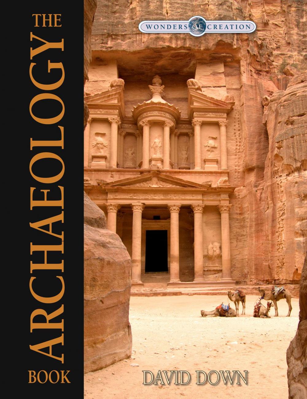 Big bigCover of The Archaeology Book