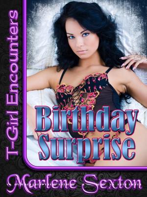 Cover of the book Birthday Surprise (T-Girl Encounters) by Angela Benson