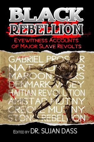 Cover of the book Black Rebellion by judith falloon-reid