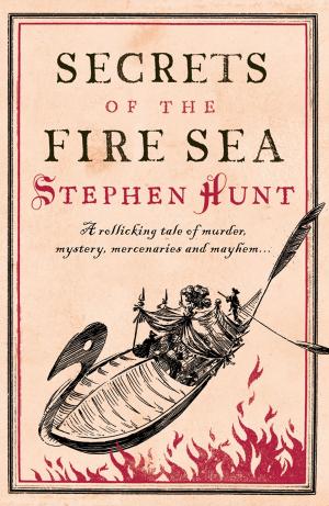 Book cover of Secrets of the Fire Sea