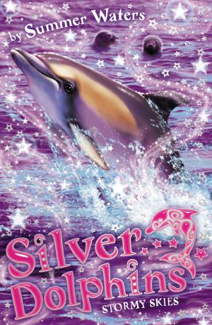 Cover of the book Stormy Skies (Silver Dolphins, Book 8) by Will Brooker
