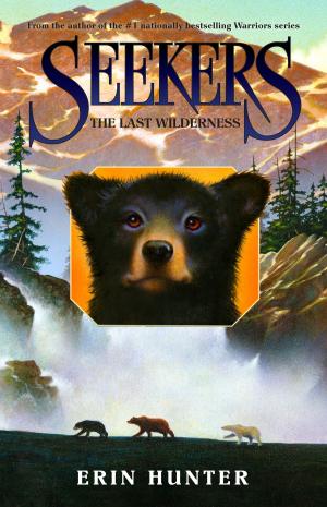 bigCover of the book Seekers #4: The Last Wilderness by 