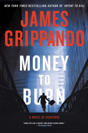 Cover of the book Money to Burn by Sharon Sala