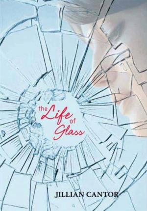 Cover of the book The Life of Glass by Rosamund Hodge