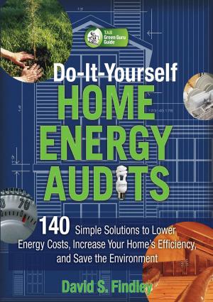 Cover of the book Do-It-Yourself Home Energy Audits by Robin Nixon