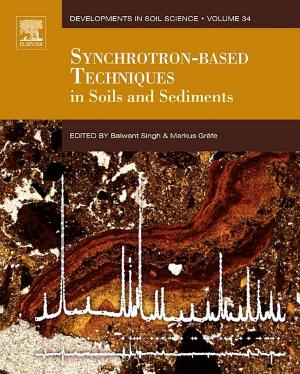 Cover of the book Synchrotron-Based Techniques in Soils and Sediments by Sina Ebnesajjad