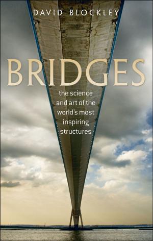 Cover of the book Bridges by Sarah Stewart-Kroeker