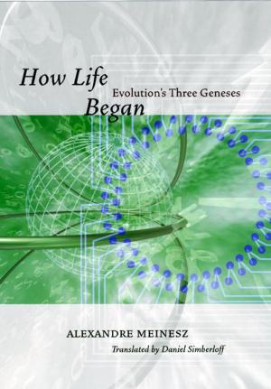 Cover of the book How Life Began by Geoffrey M. Hodgson