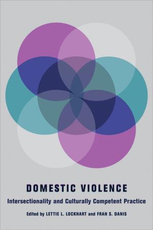 Cover of the book Domestic Violence by Rui Li