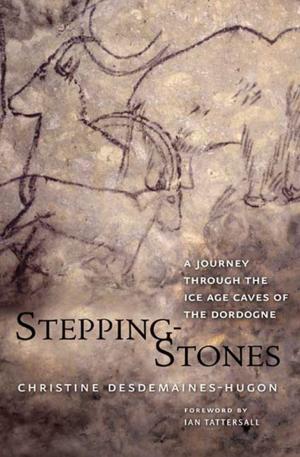 Cover of the book Stepping-Stones by Susan Jacoby