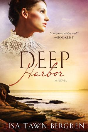 Cover of the book Deep Harbor by Matt Baglio