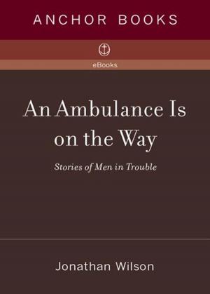 Cover of the book An Ambulance Is on the Way by Sally Carrighar
