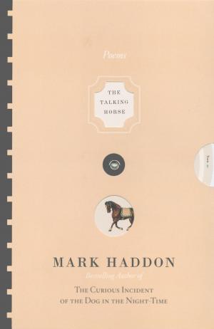 Cover of the book The Talking Horse and the Sad Girl and the Village Under the Sea by Haruki Murakami