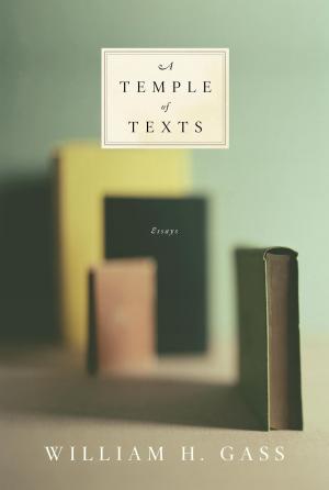 Cover of the book A Temple of Texts by Michael Schmidt