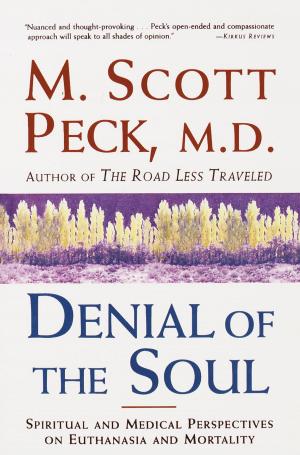 Cover of the book Denial of the Soul by V A Nelson