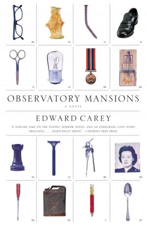 Cover of the book Observatory Mansions by David Eagleman