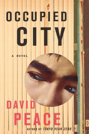 Cover of the book Occupied City by Fredric Dannen