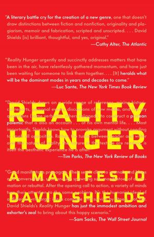 Cover of the book Reality Hunger by Eric Ambler