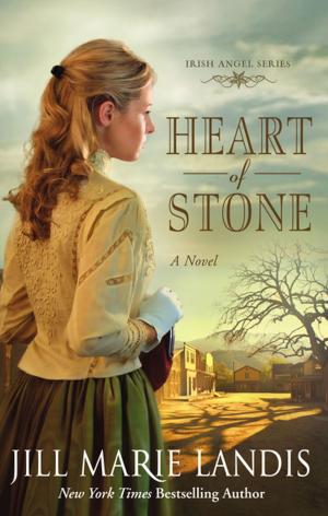 Cover of the book Heart of Stone by Gina Danna