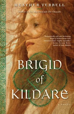 Book cover of Brigid of Kildare