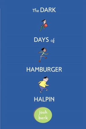 Cover of the book The Dark Days of Hamburger Halpin by Danica McKellar