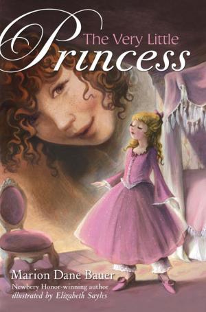 Cover of the book The Very Little Princess: Zoey's Story by Matthew McElligott