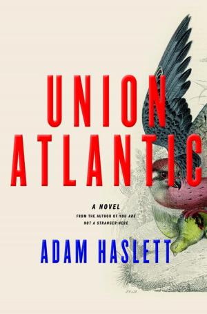 Cover of the book Union Atlantic by David Levien