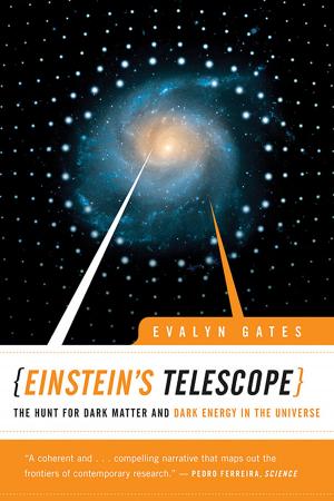 Cover of the book Einstein's Telescope: The Hunt for Dark Matter and Dark Energy in the Universe by Jeremy Bailenson