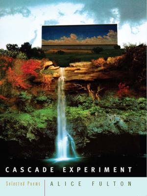 Cover of the book Cascade Experiment: Selected Poems by Robert T. Muller