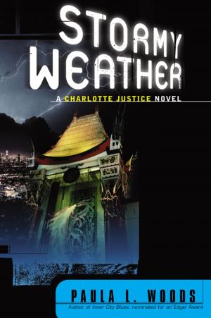 Cover of the book Stormy Weather: A Charlotte Justice Novel by Daniel L. Schwartz, Jessica M. Tsang, Kristen P. Blair
